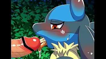 Lucario x greninja