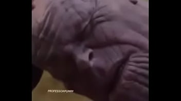 Thanos penis