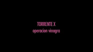 Torrent 1337x