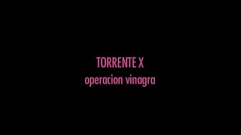 Torrente x: operación vinagra