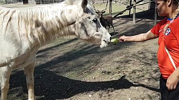 Mujeres con caballos