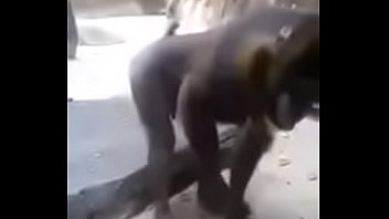 Monos maduros