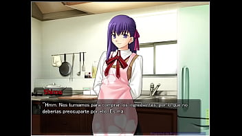 Visual novel fate stay night español