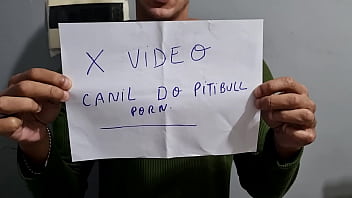 Pitbull videos peleas